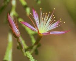 images (28)